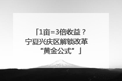 1亩=3倍收益？宁夏兴庆区解锁改革“黄金公式”